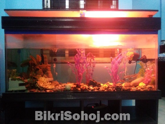 4 feet long aquarium for sale